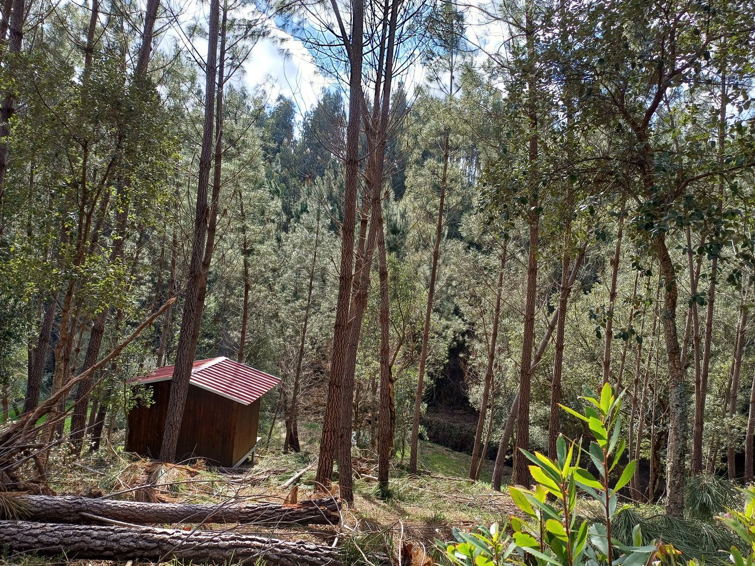 联排别墅出售在Rua da Capela, codiceira - 详情
