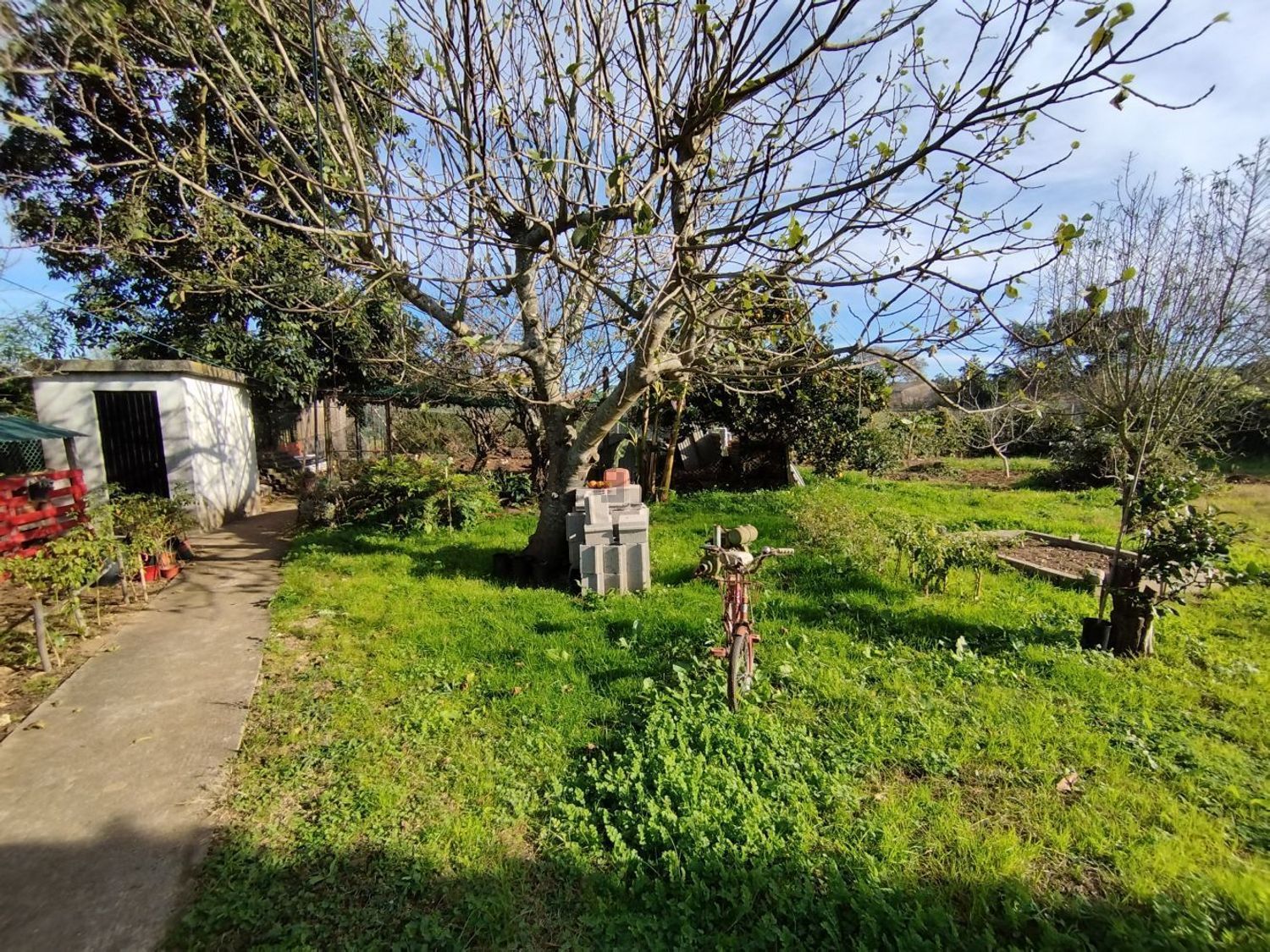 小楼房或独栋别墅出售在São Bernardo - 厨房