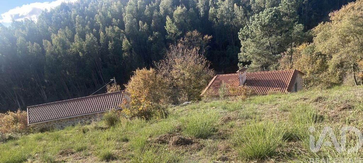 小楼房或独栋别墅出售在Figueiró dos Vinhos e Bairradas - 花园