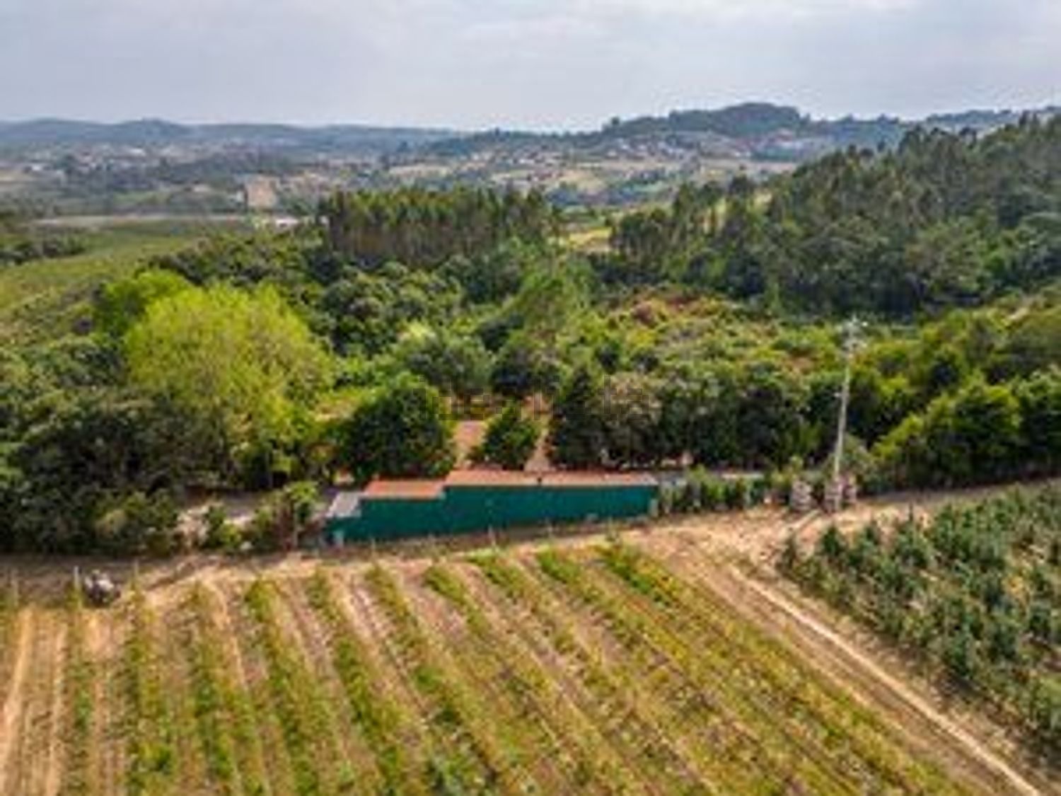 庄园出售Vinharias, 2460, Cela, Leiria, Portugal s/n - 照片