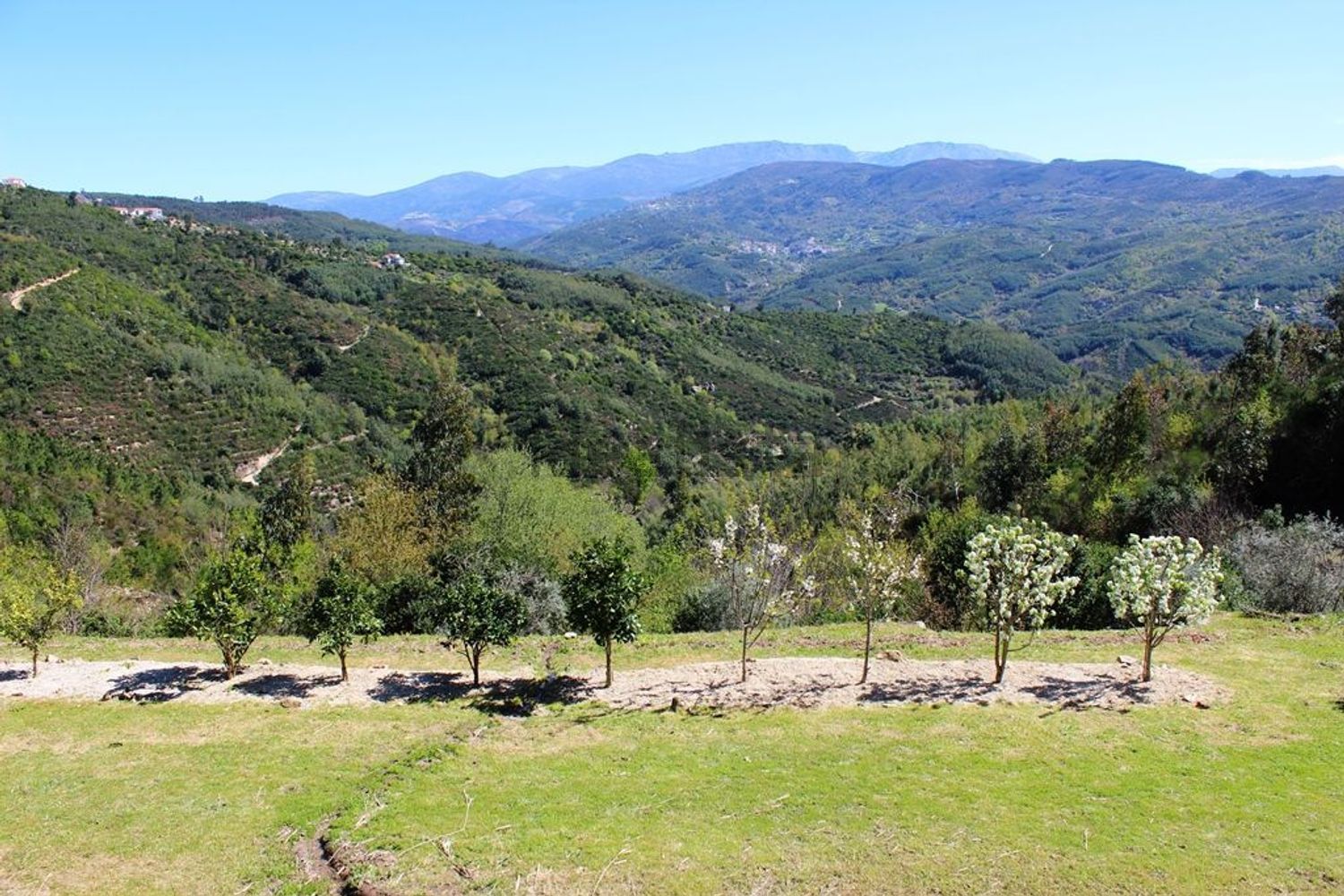 小楼房或独栋别墅出售Quinta do chão cimeiro - 视线
