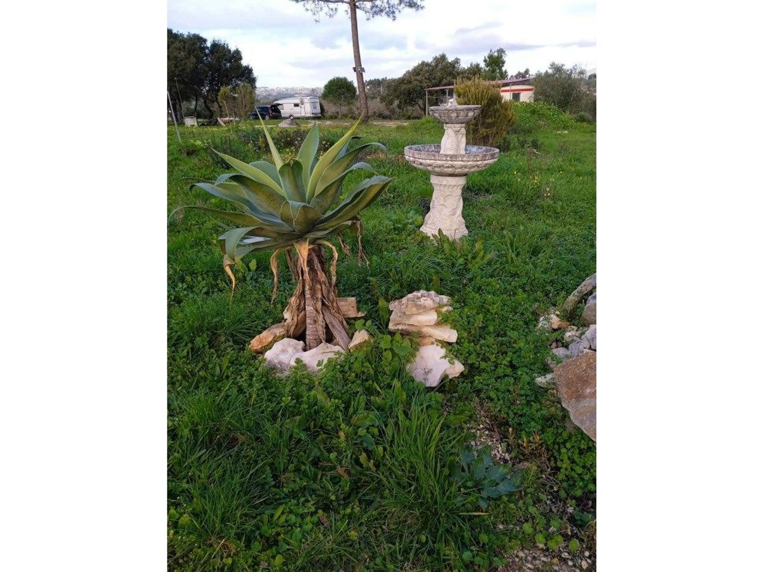 庄园出售在Évora de Alcobaça - 花园