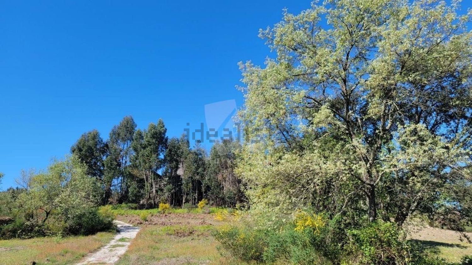庄园出售在Aldeia do Bispo - Águas - Aldeia de João Pires - 花园