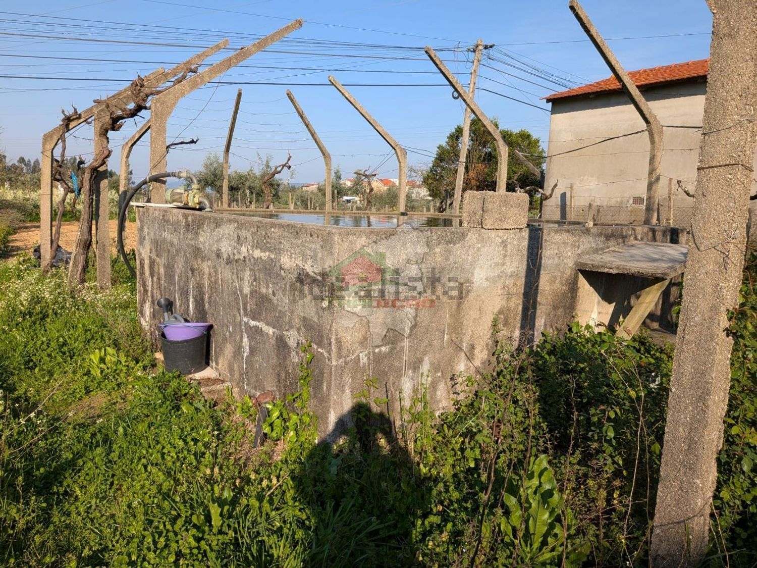 小楼房或独栋别墅出售在Cernache do Bonjardim - Nesperal - Palhais - 花园