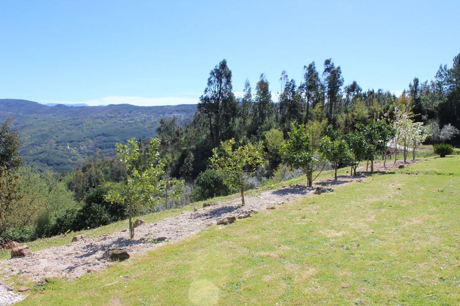 小楼房或独栋别墅出售Quinta do chão cimeiro - 视线