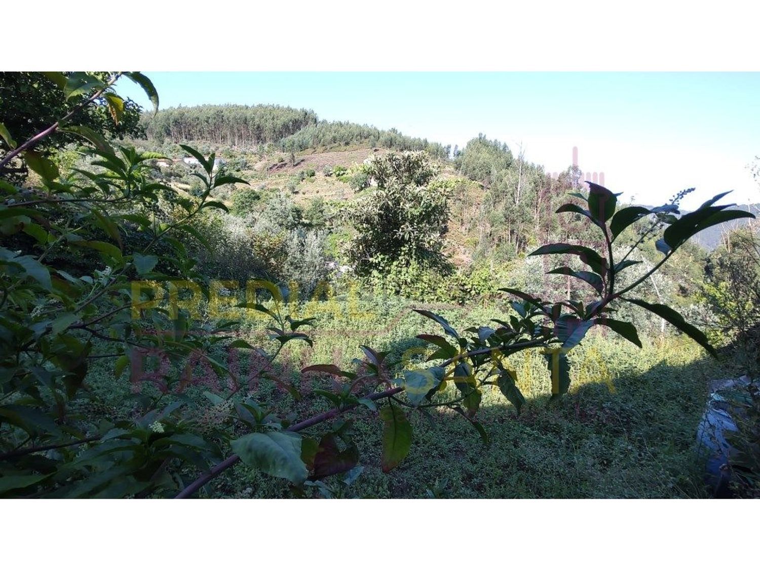 小楼房或独栋别墅出售在Arrifana - 花园