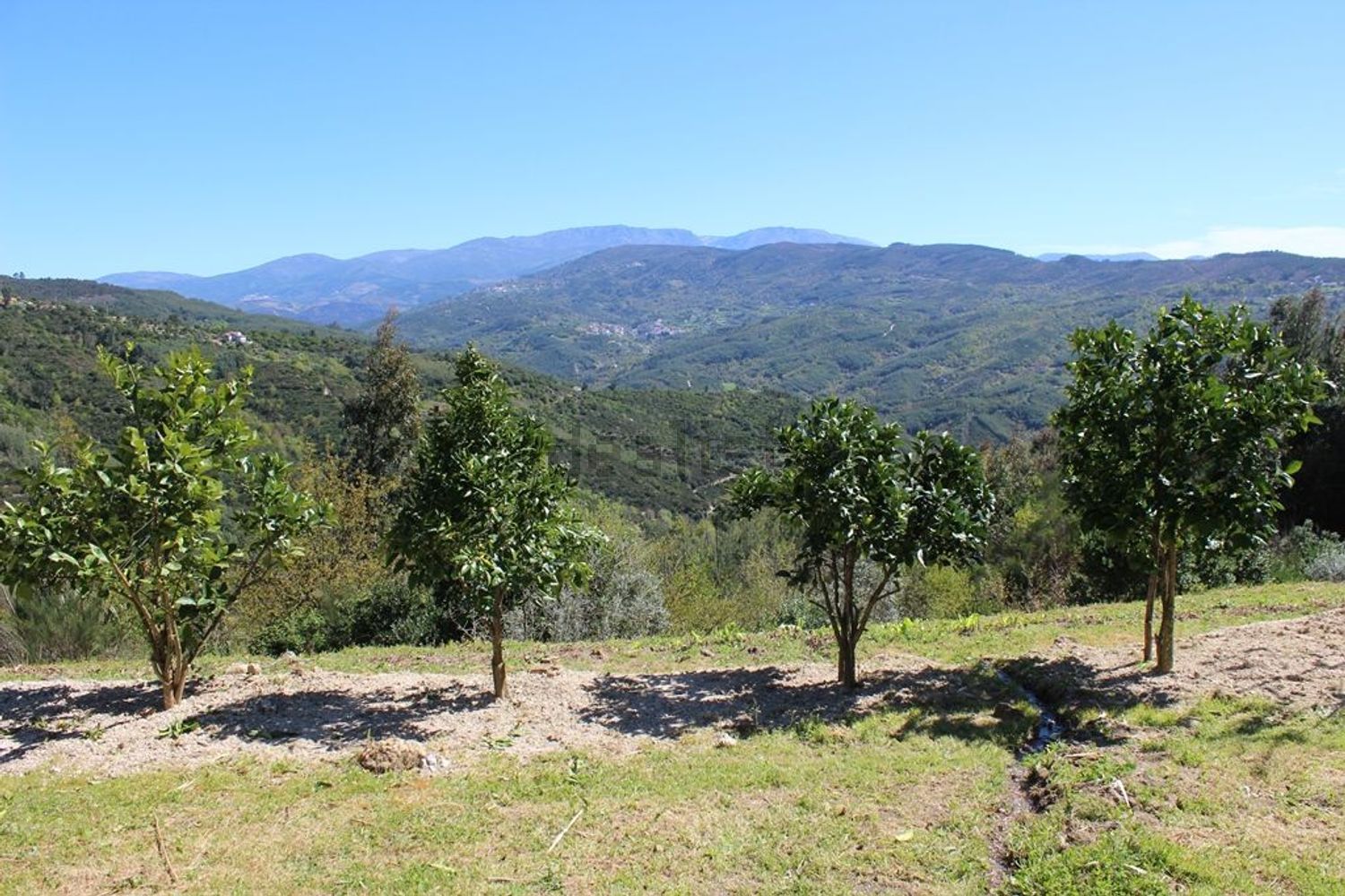 小楼房或独栋别墅出售Quinta do chão cimeiro - 视线
