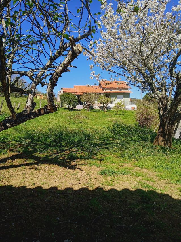 小楼房或独栋别墅出售在Figueiró dos Vinhos e Bairradas
