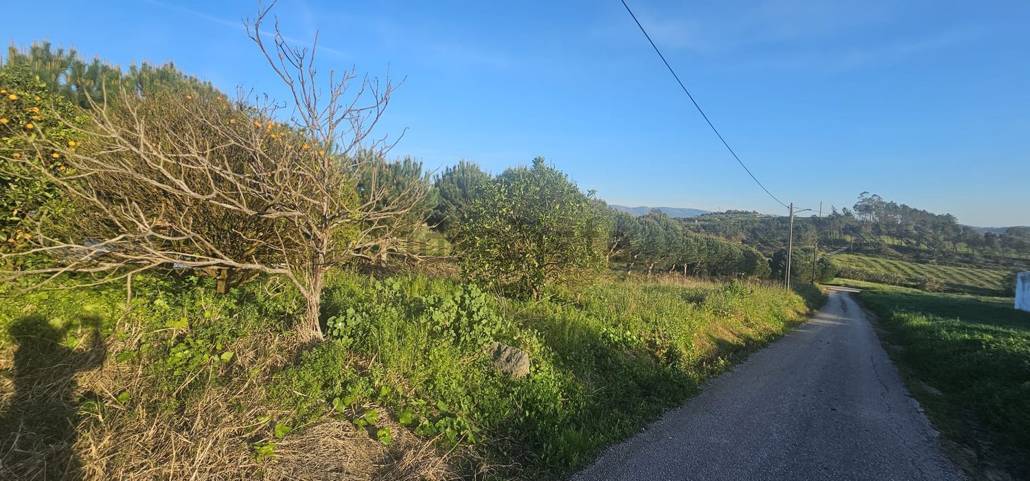 小楼房或独栋别墅出售在Rua da Estrada Nacional, 43 - 花园