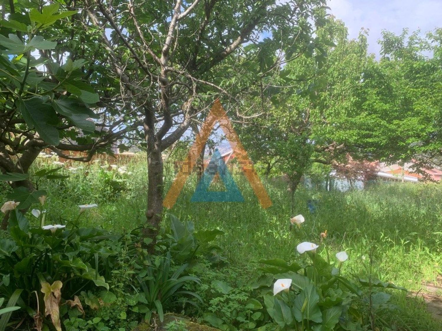 小楼房或独栋别墅出售在Vila de Cucujães - 花园