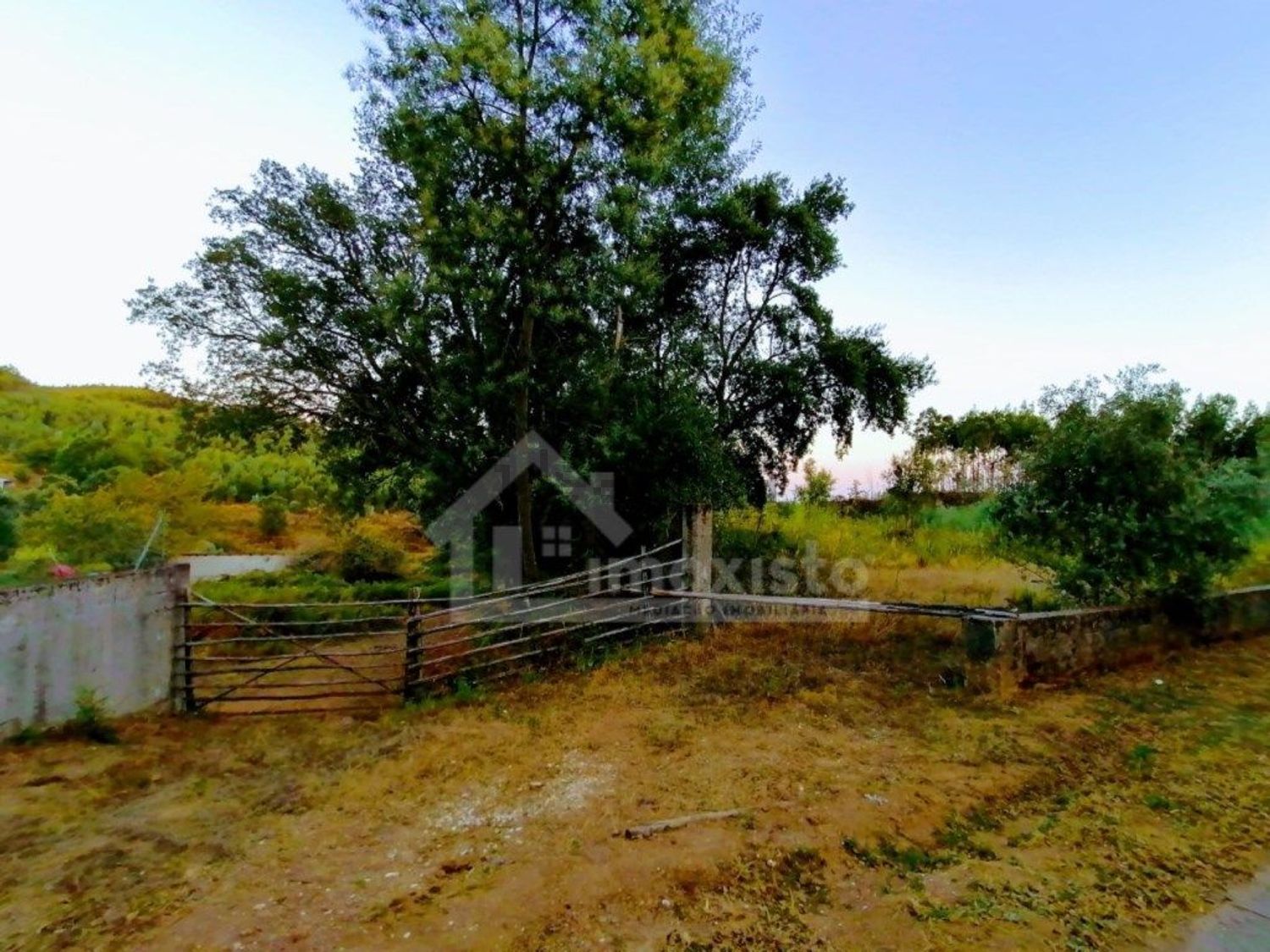 庄园出售在Pedrógão Grande - 花园
