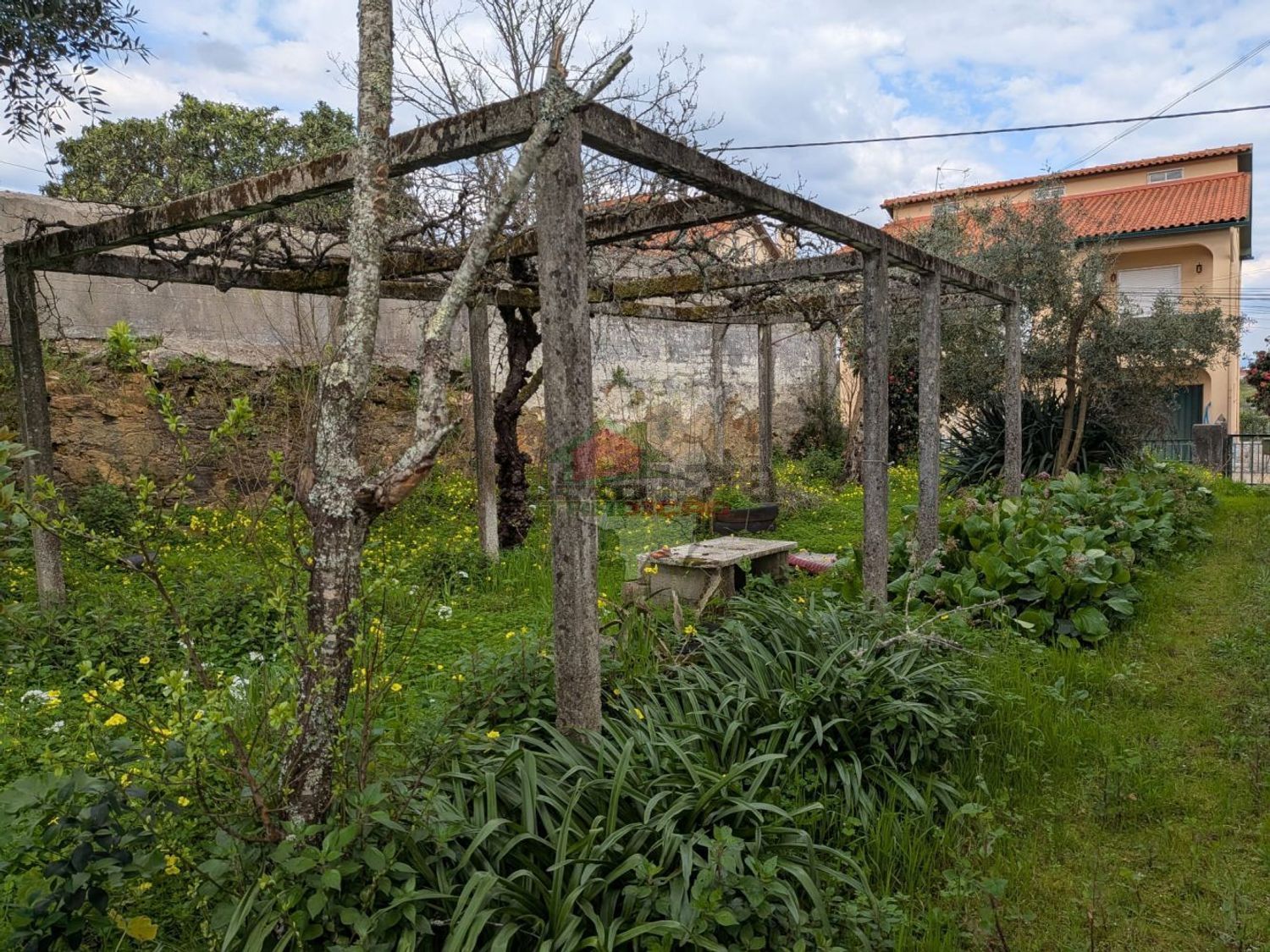 庄园出售在Cernache do Bonjardim - Nesperal - Palhais - 花园
