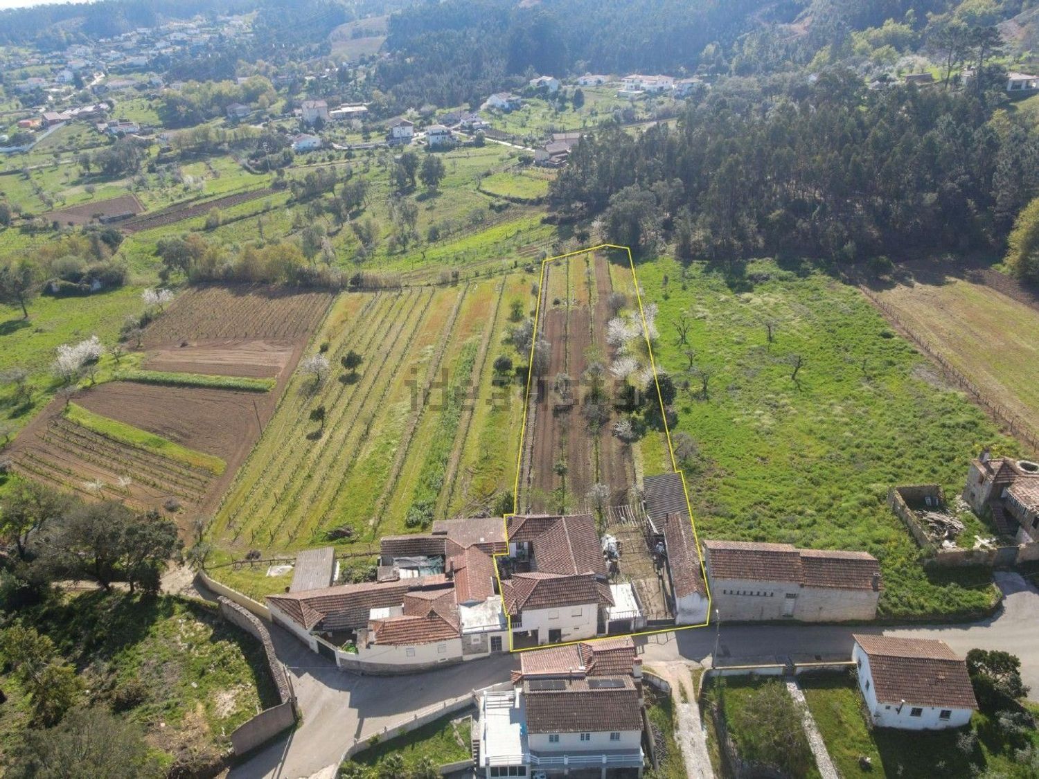 小楼房或独栋别墅出售在Rua Pereiro de Cima s/n - 视线