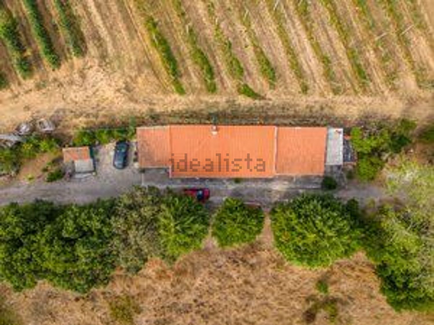 庄园出售Vinharias, 2460, Cela, Leiria, Portugal s/n - 照片