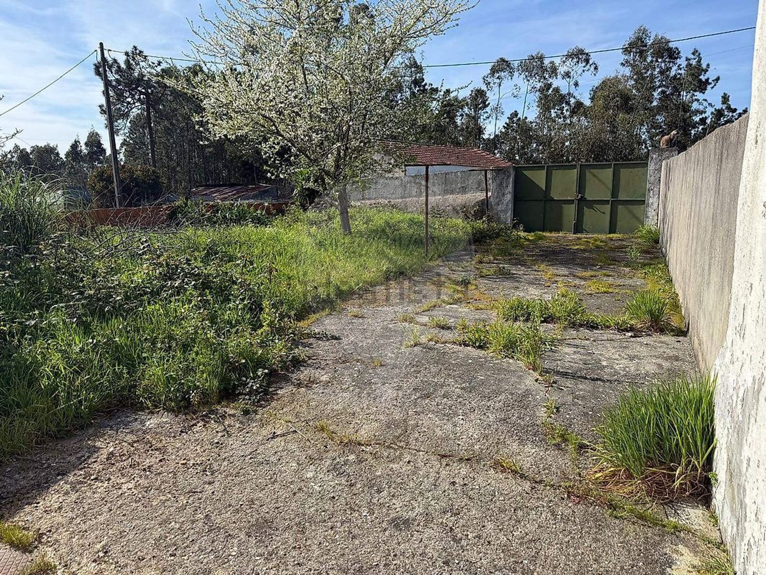 小楼房或独栋别墅出售在São Miguel de Souto - 花园