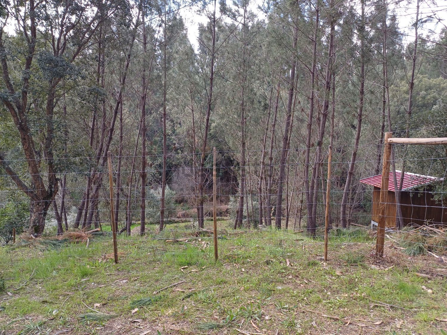 联排别墅出售在Rua da Capela, codiceira - 详情