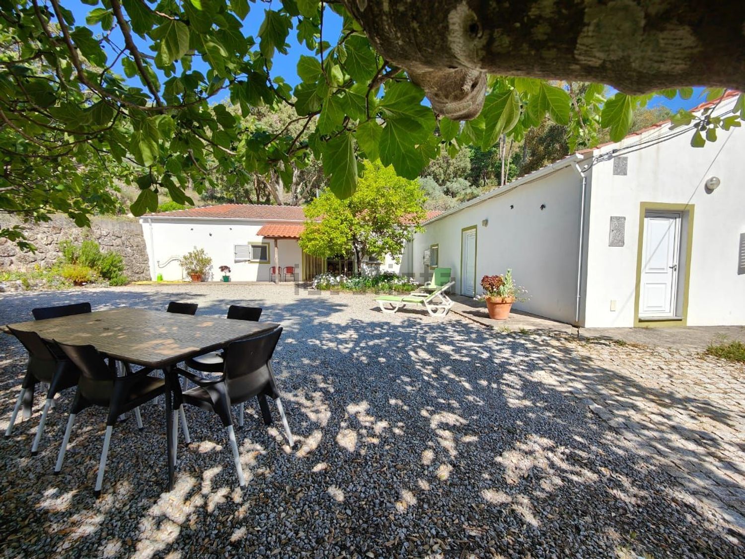 庄园出售Quinta da Barroquinha s/n - 外立面
