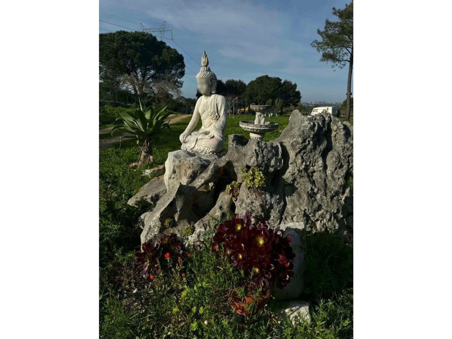 庄园出售在Évora de Alcobaça - 花园