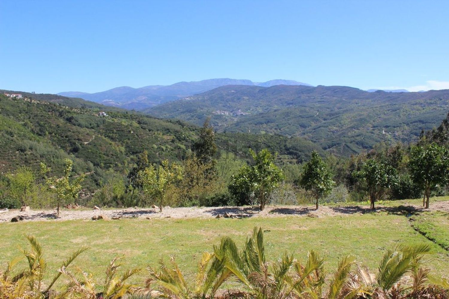 小楼房或独栋别墅出售Quinta do chão cimeiro - 视线