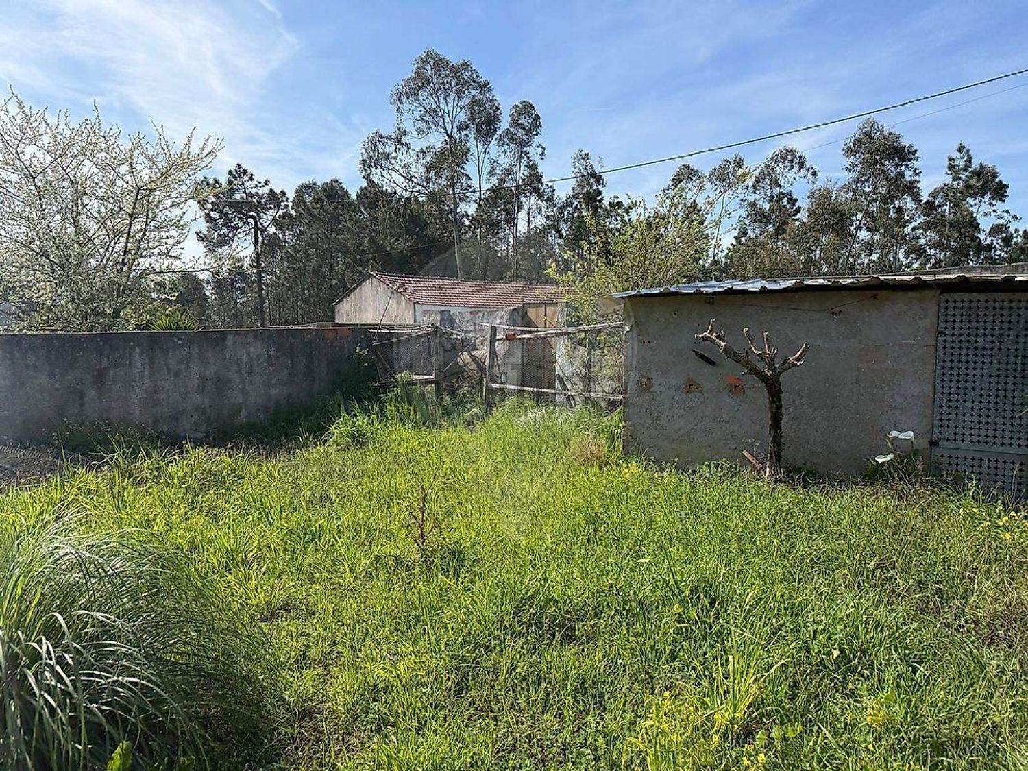 小楼房或独栋别墅出售在São Miguel de Souto - 花园