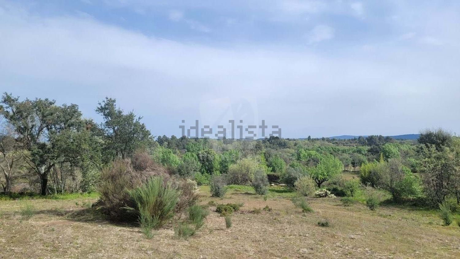 庄园出售在Aldeia do Bispo - Águas - Aldeia de João Pires - 视线