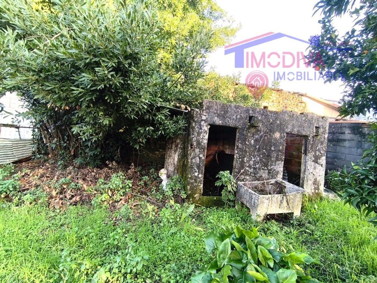 庄园出售在Pedrógão Grande - 外立面