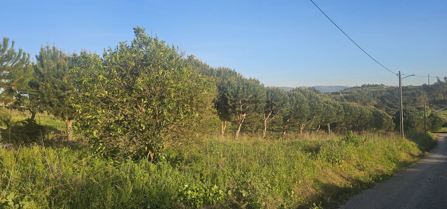 小楼房或独栋别墅出售在Rua da Estrada Nacional, 43 - 花园