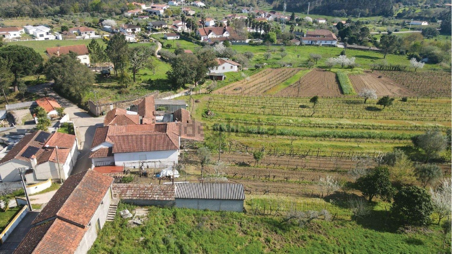 小楼房或独栋别墅出售在Rua Pereiro de Cima s/n - 视线