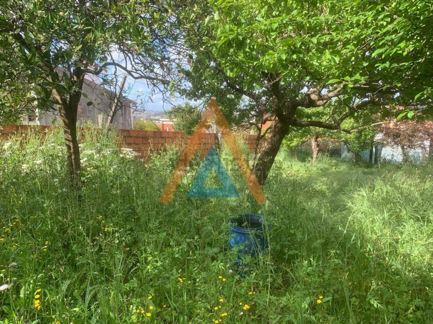 小楼房或独栋别墅出售在Vila de Cucujães - 花园