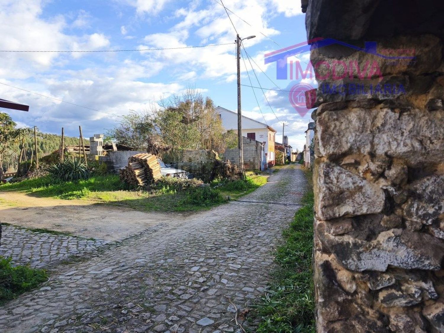 小楼房或独栋别墅出售在Figueiró dos Vinhos e Bairradas - 花园