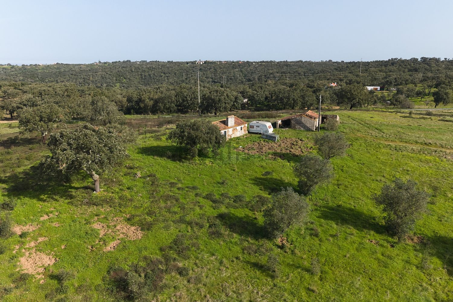 庄园出售在São Francisco da Serra - 视线