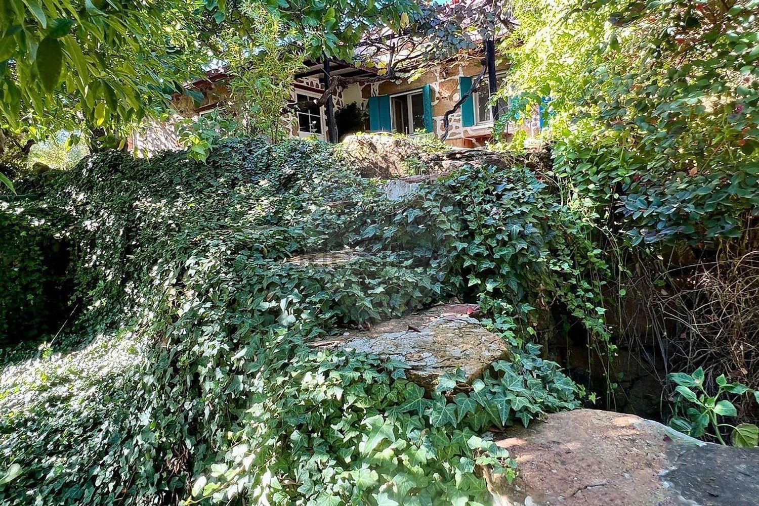 庄园出售在Vale de Prazeres e Mata da Rainha - 花园