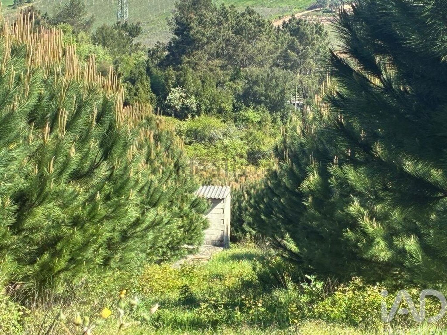 小楼房或独栋别墅出售在São Gregório - 花园