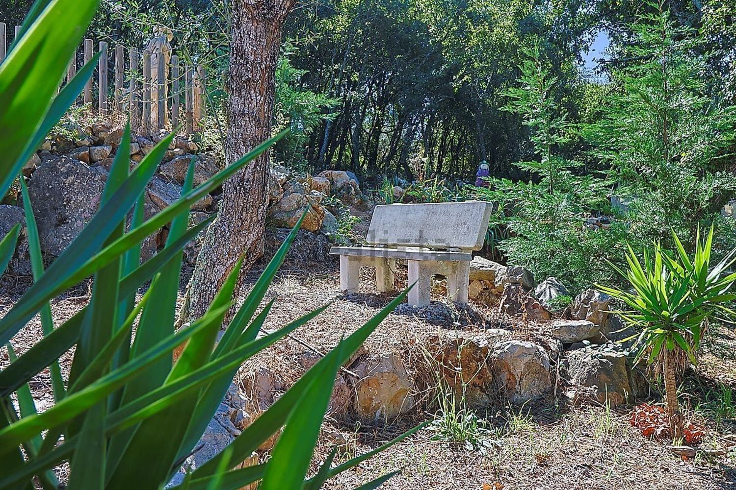 出租小楼房或独栋别墅在Rua do Barranco, 115 - 花园