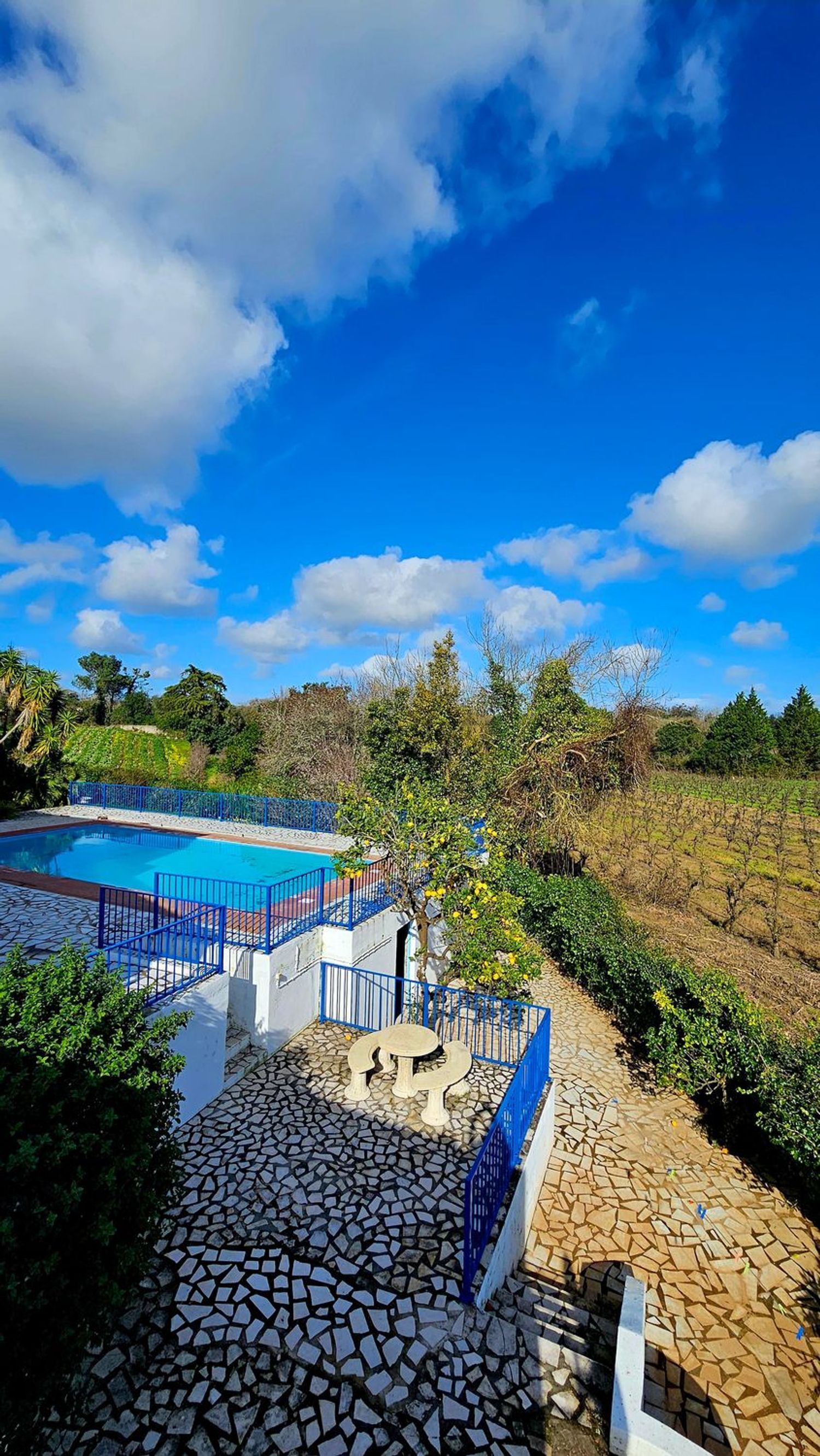 庄园出售在Estrada Principal - 游泳池