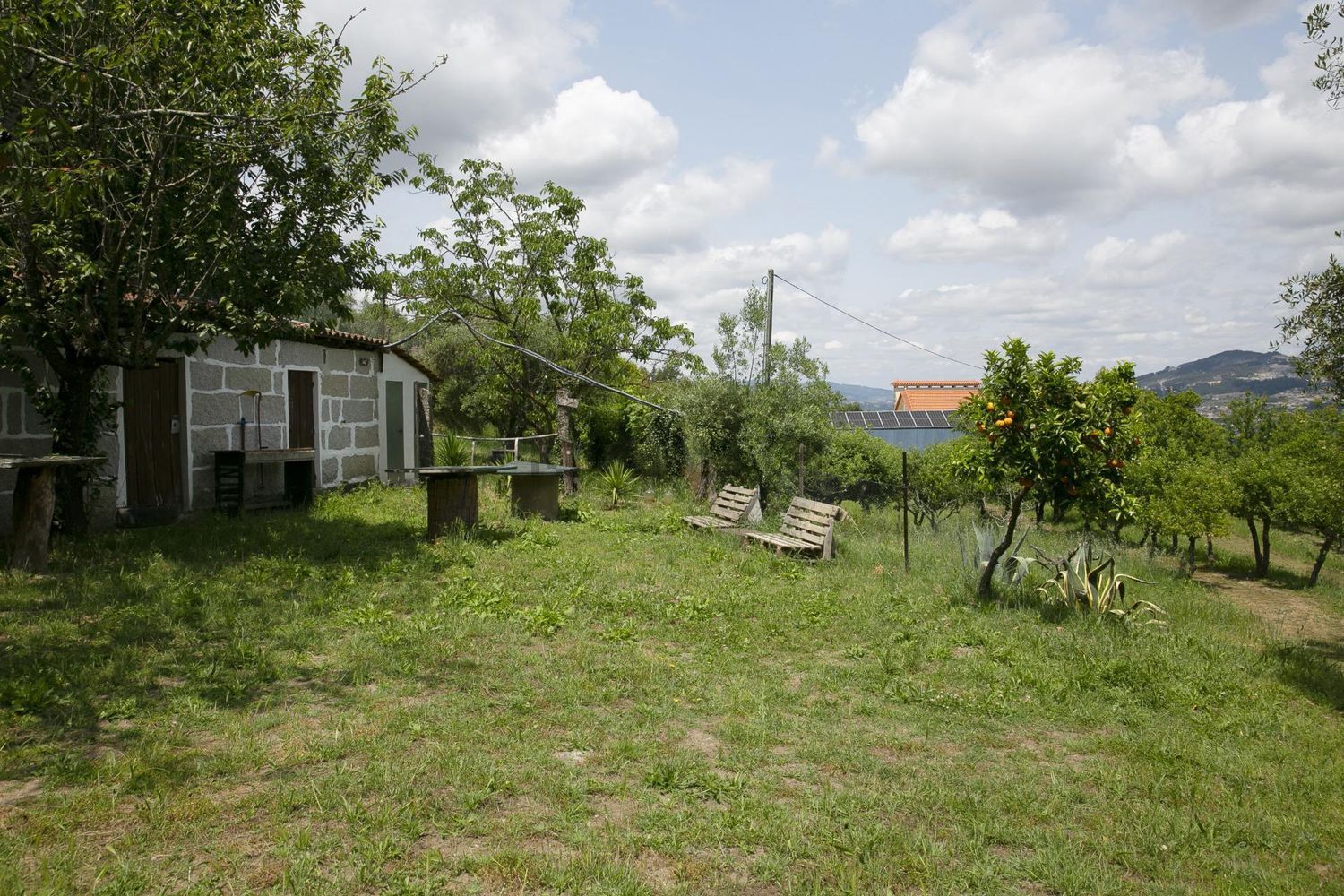 庄园出售在Rua Professor Egas Moniz - 花园