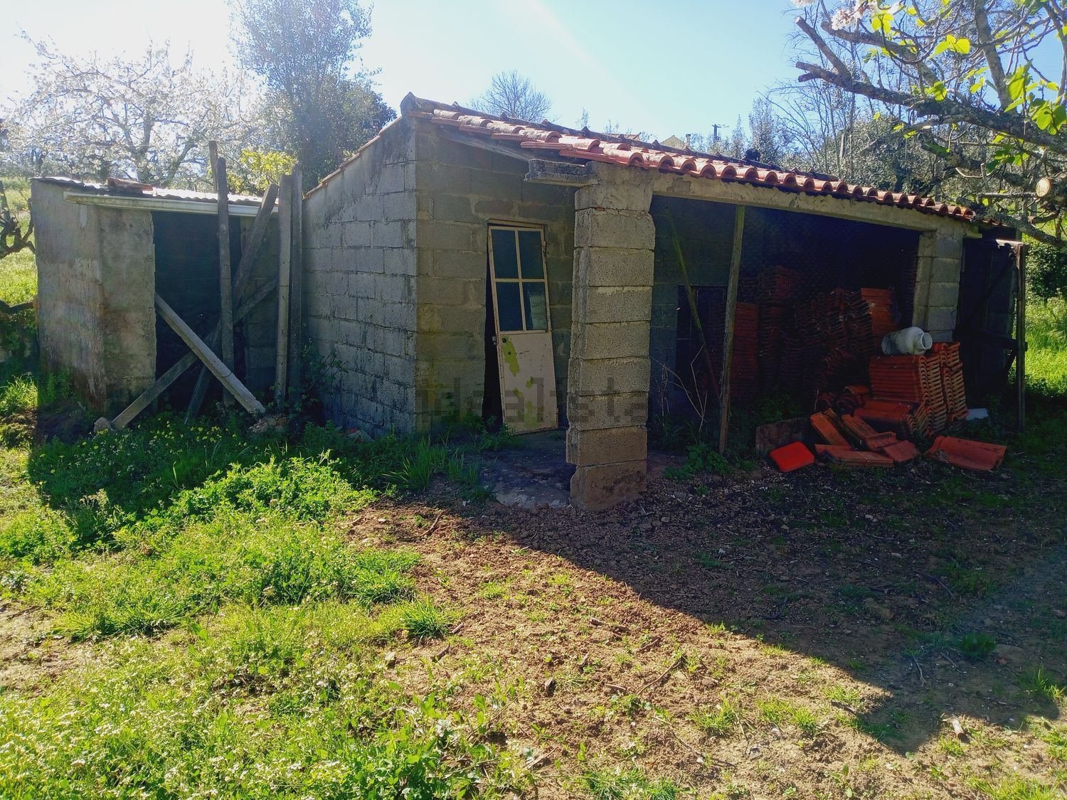 小楼房或独栋别墅出售在Figueiró dos Vinhos e Bairradas - 储藏室