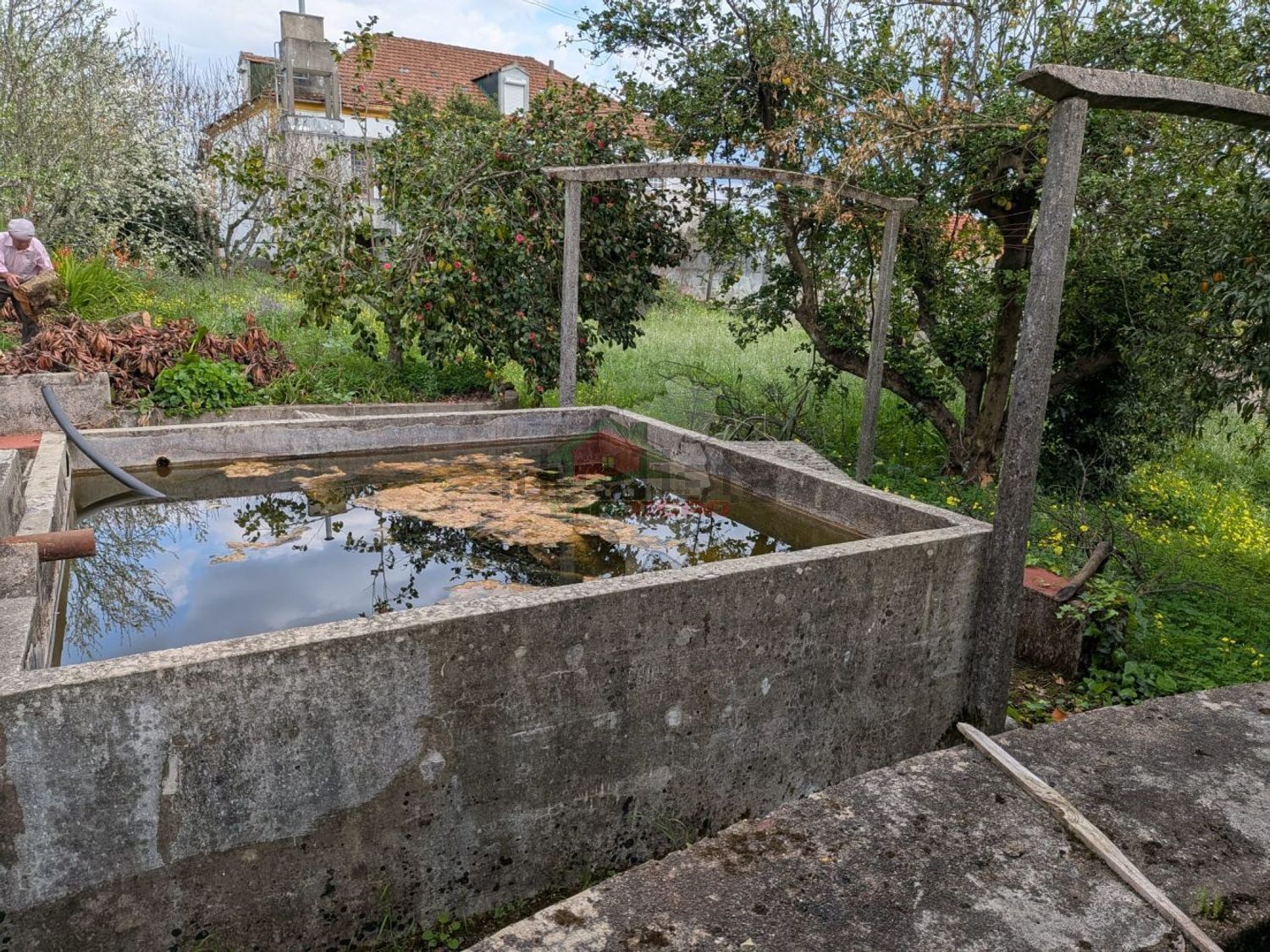 庄园出售在Cernache do Bonjardim - Nesperal - Palhais - 游泳池