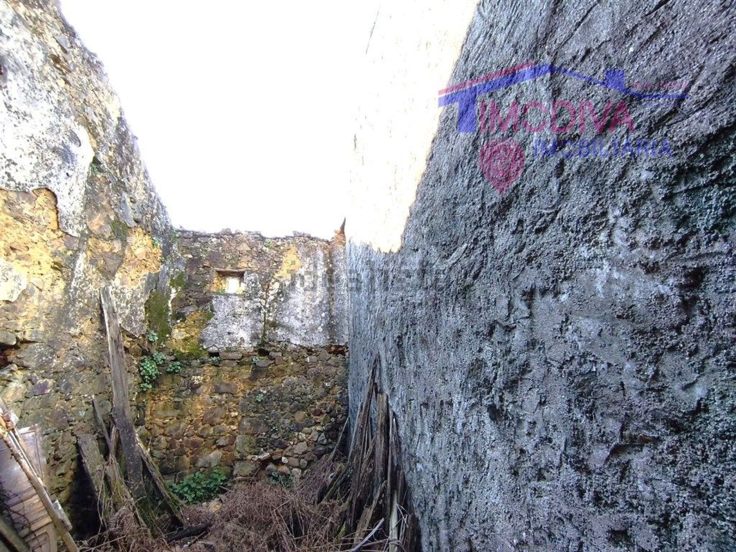 小楼房或独栋别墅出售在Figueiró dos Vinhos e Bairradas - 花园