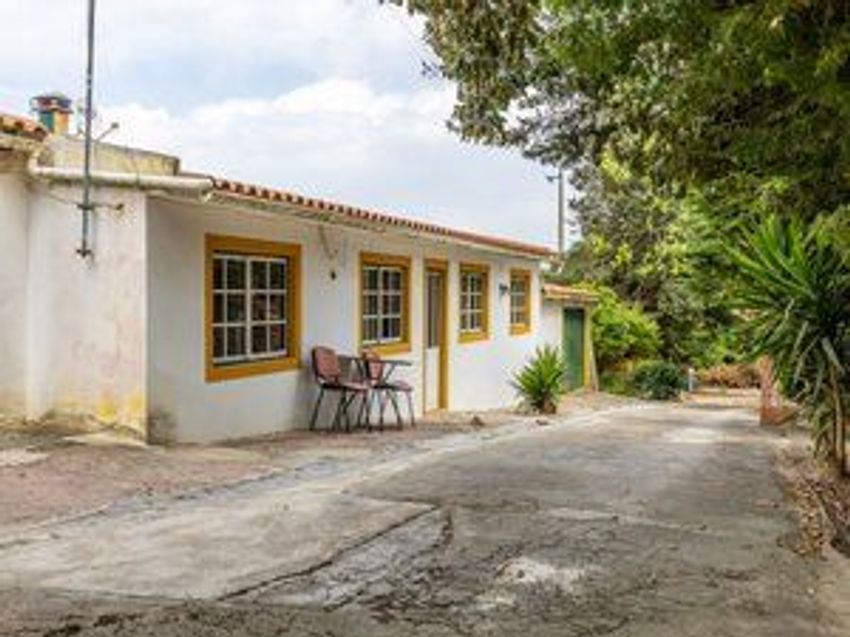 庄园出售Vinharias, 2460, Cela, Leiria, Portugal s/n