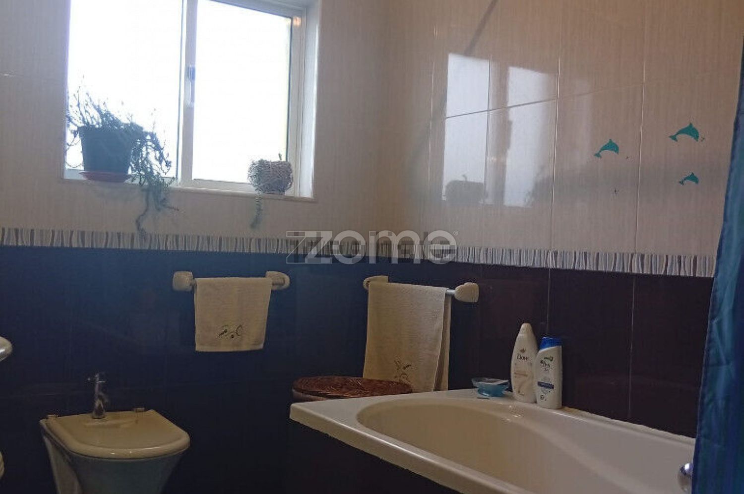 小楼房或独栋别墅出售在Oliveira do Bairro - 卫生间