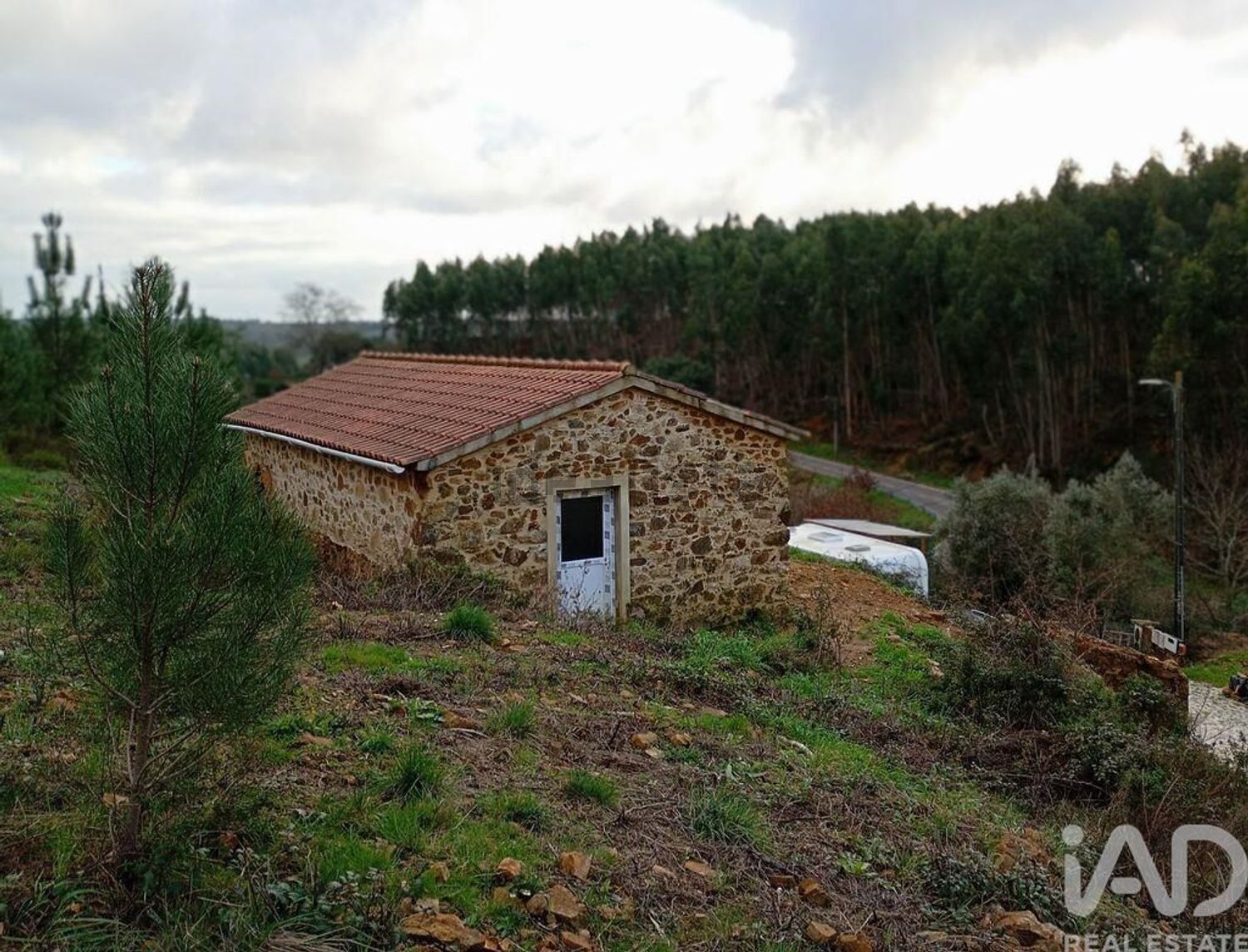 小楼房或独栋别墅出售在Figueiró dos Vinhos e Bairradas - 外立面