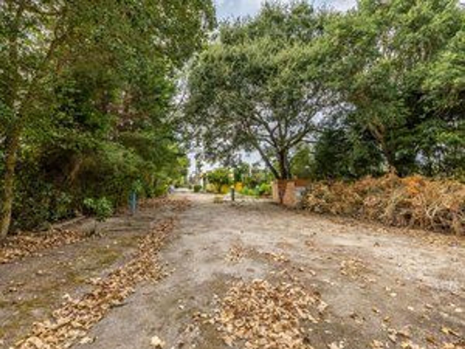 庄园出售Vinharias, 2460, Cela, Leiria, Portugal s/n - 花园