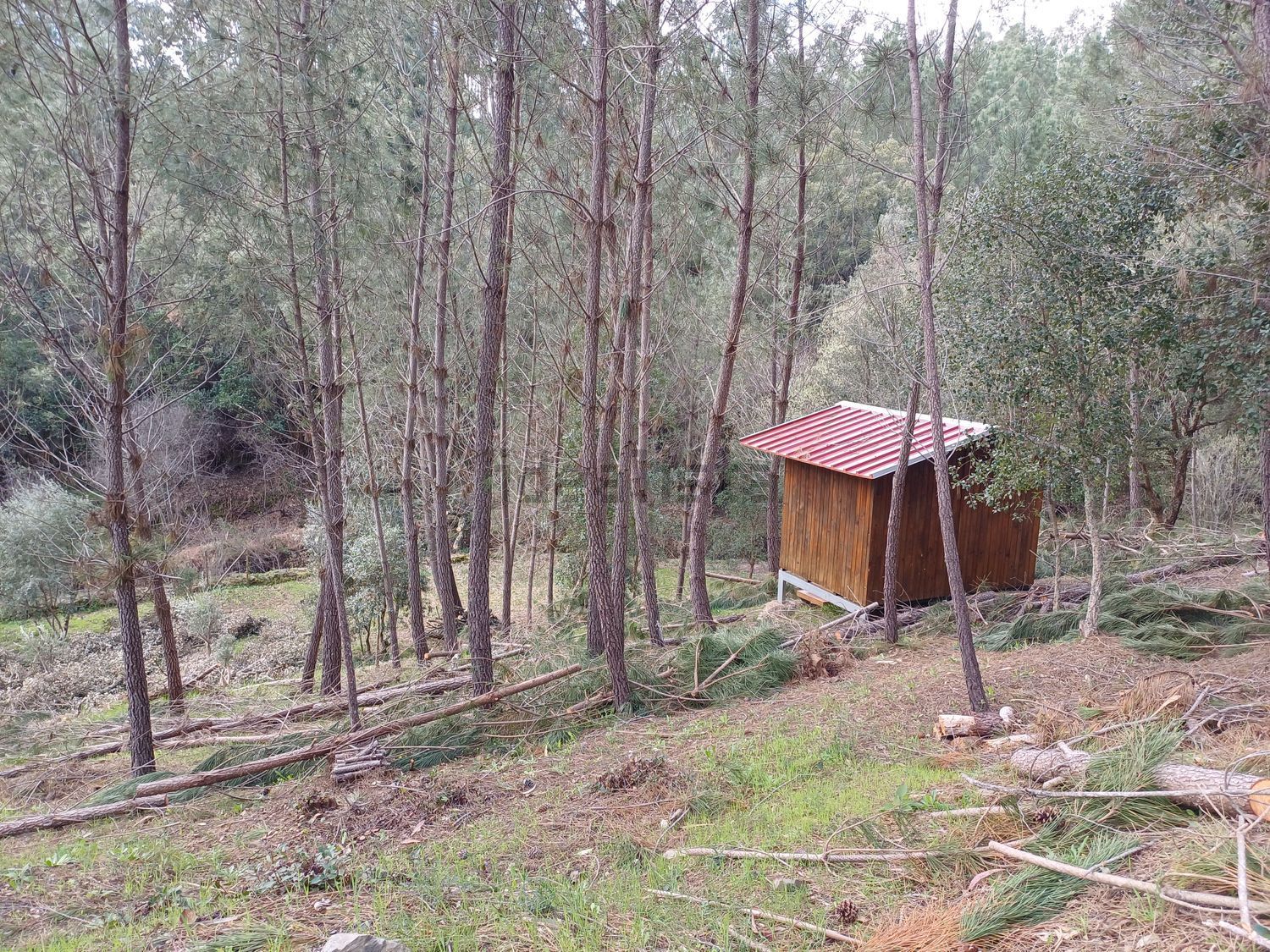 联排别墅出售在Rua da Capela, codiceira - 详情