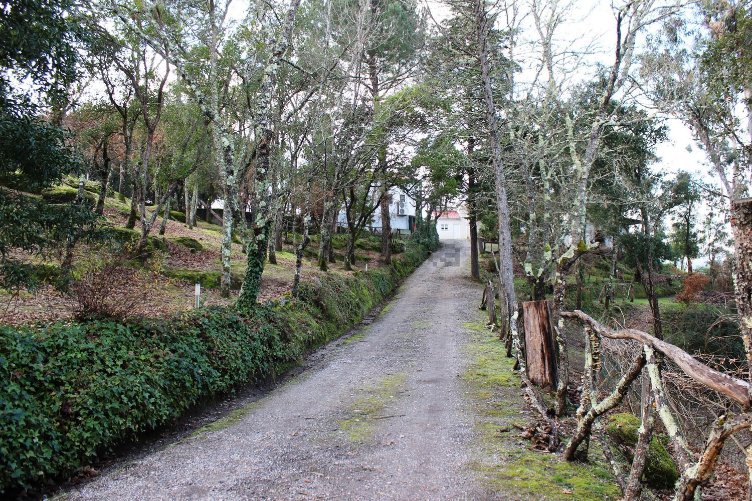 庄园出售Pedra da Sé - 详情