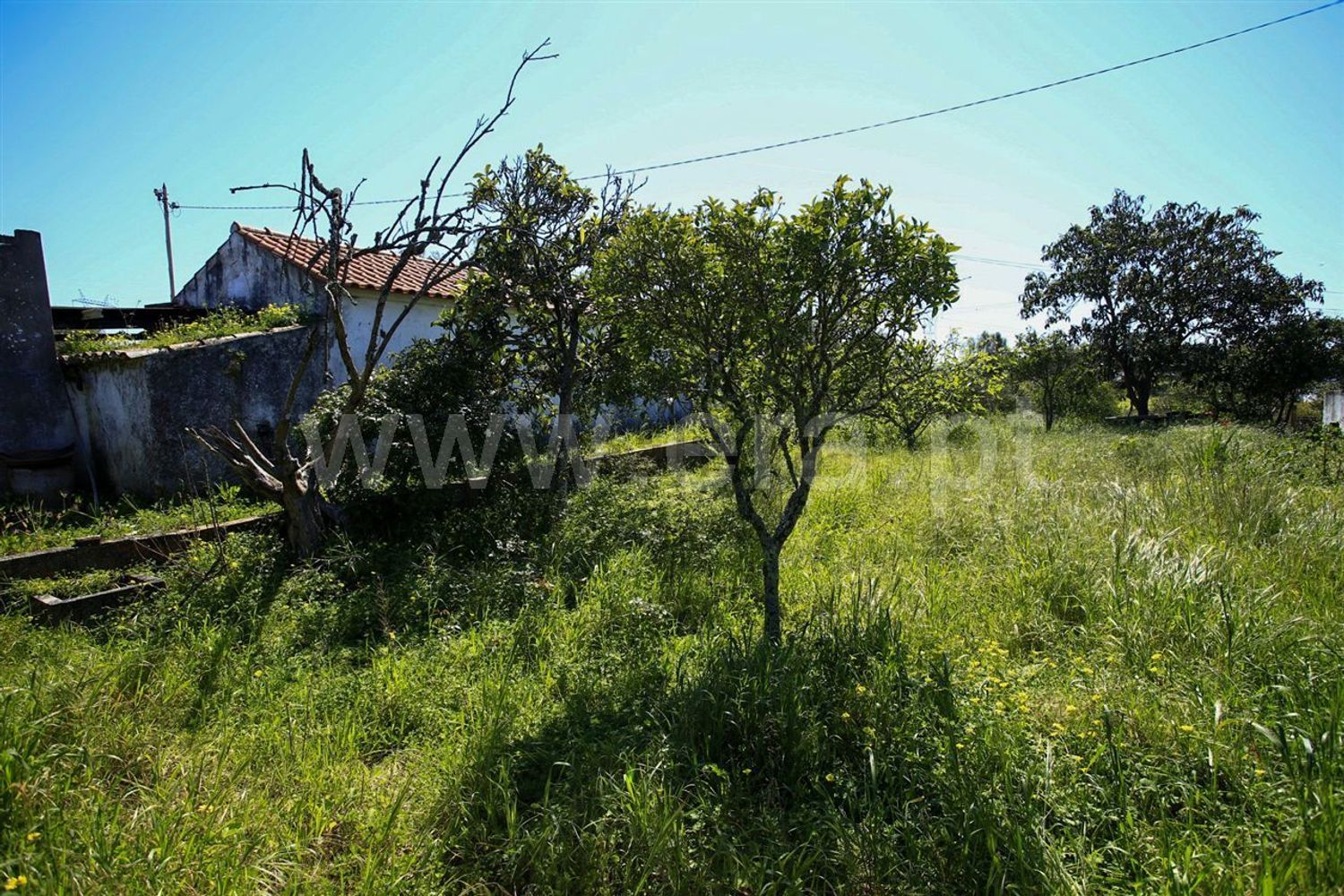 庄园出售在Santiago do Cacém - Santa Cruz - São Bartolomeu da Serra - 花园