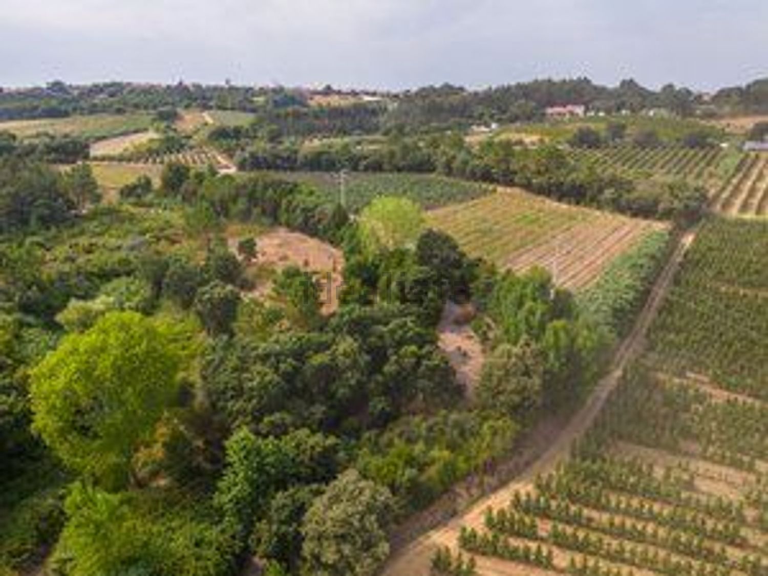 庄园出售Vinharias, 2460, Cela, Leiria, Portugal s/n - 视线