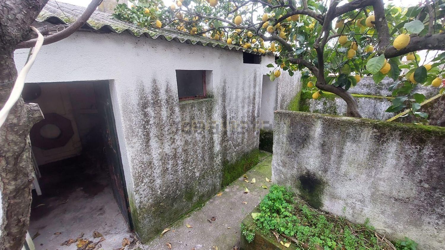 小楼房或独栋别墅出售在Rua da Estrada, 3 - 花园