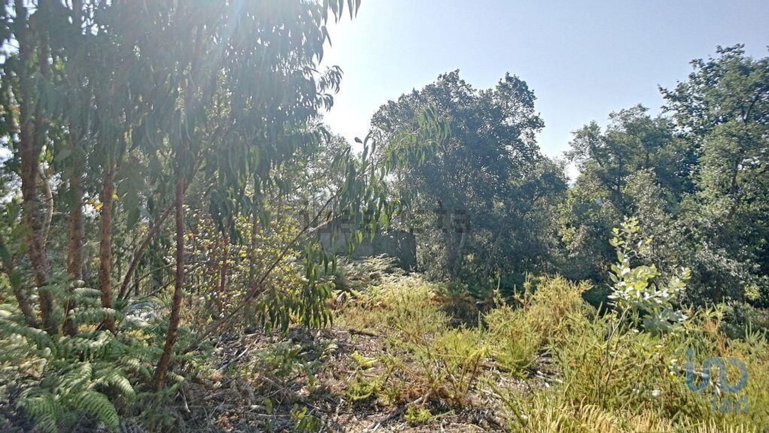 小楼房或独栋别墅出售在Pedrógão Grande - 花园