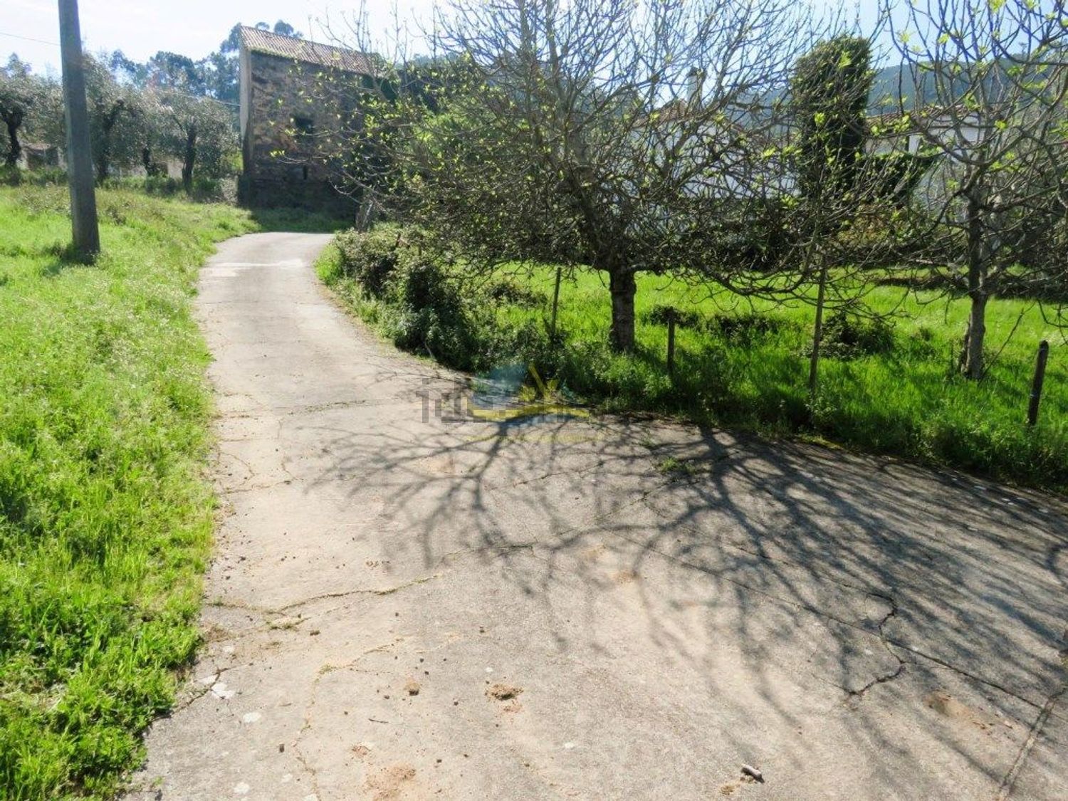 小楼房或独栋别墅出售在Lousã - 花园